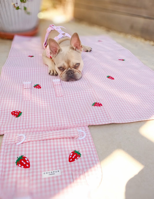 Travel Mat - Strawberry Picnic