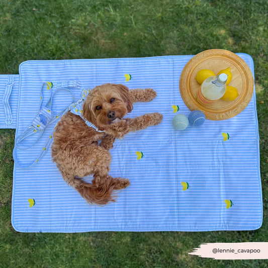 Travel Mat - La Vida