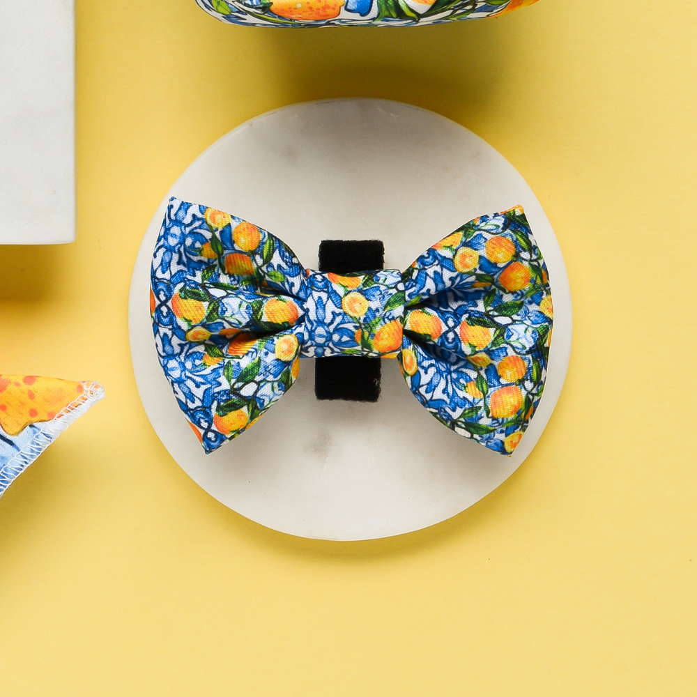 Amalfi Bow Tie