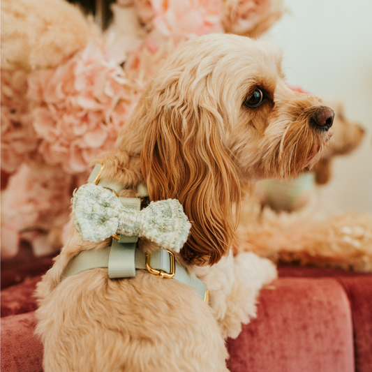 Matcha Tweed Bow Tie - Bridgerton