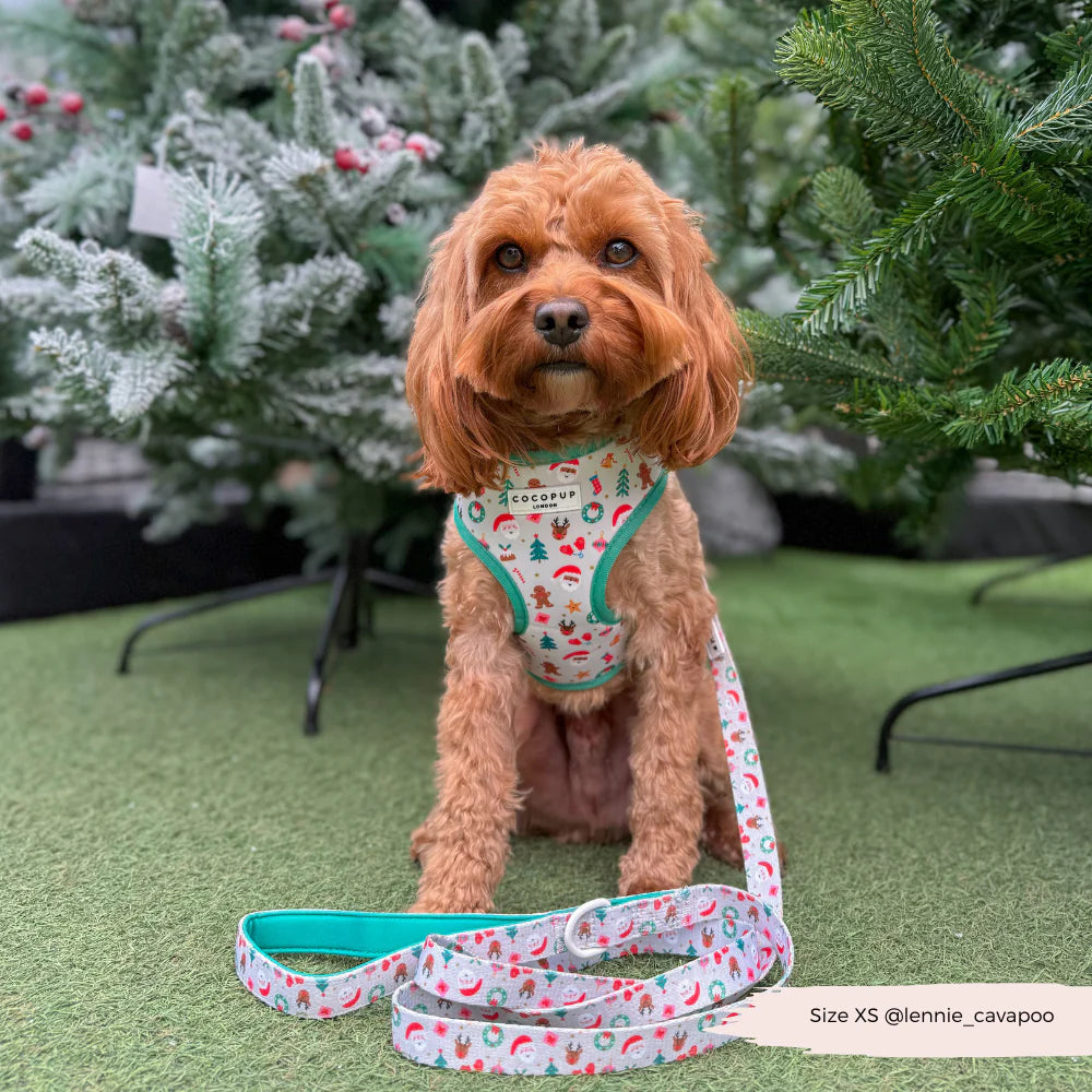 Christmas Pawty Harness