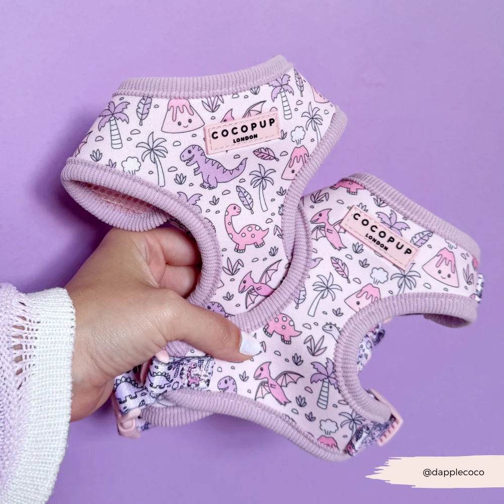 Princess Dino Harness