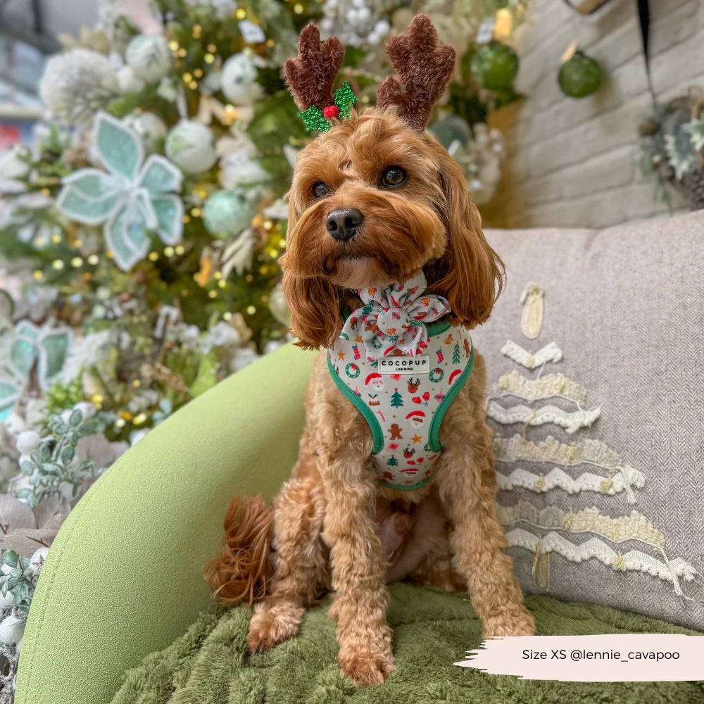 Christmas Pawty Harness