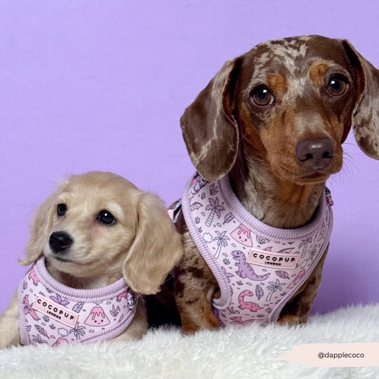 Princess Dino Harness