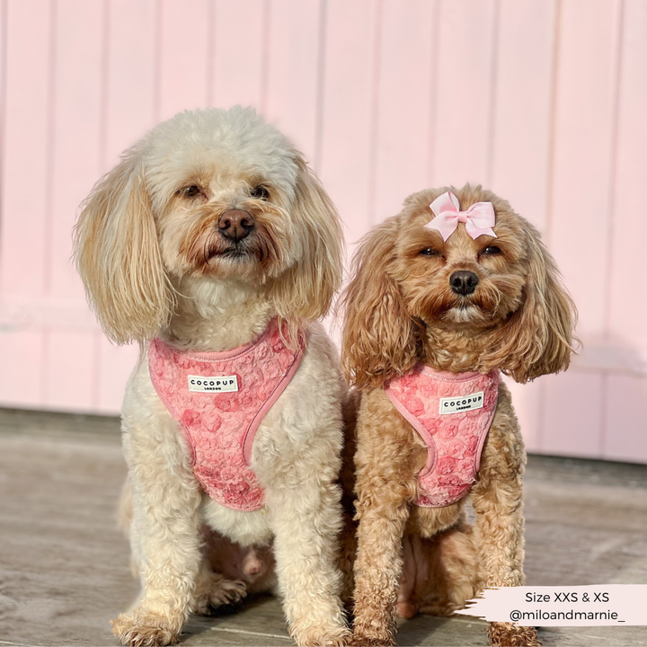 Peony - Adjustable Dog Harness