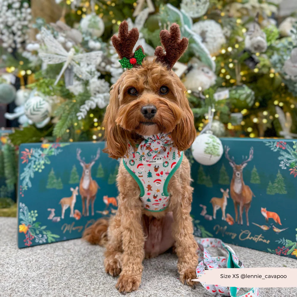 Christmas Pawty Harness