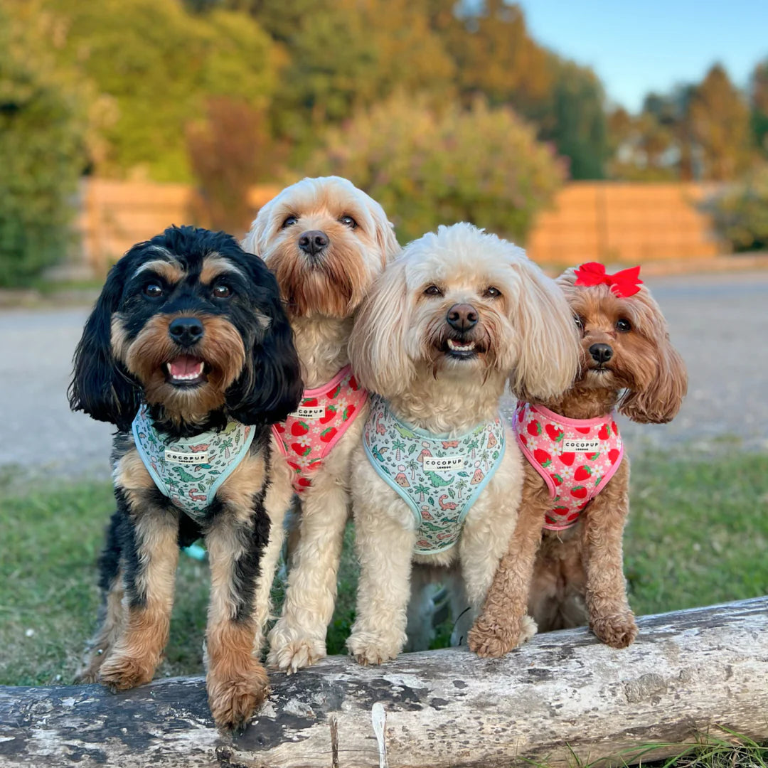 Pup Berry - Adjustable Dog Harness