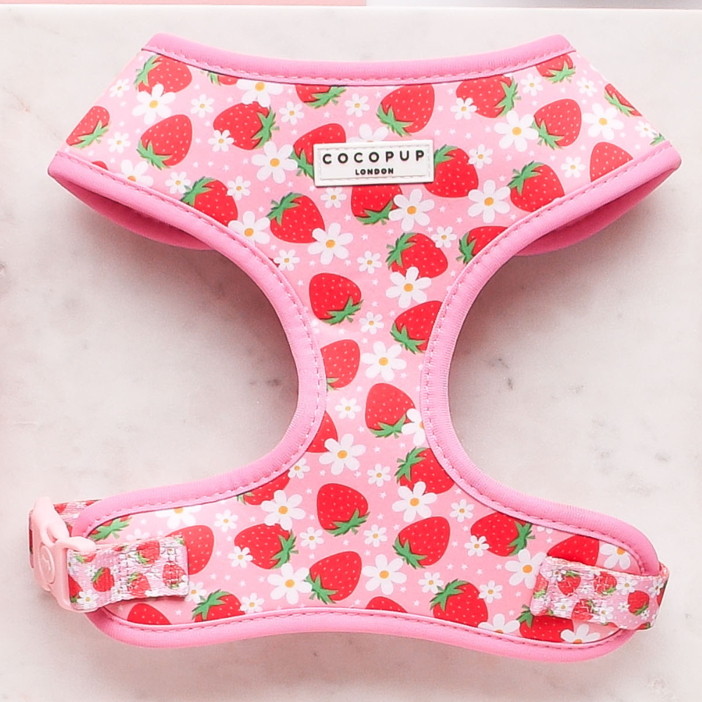 Pup Berry - Adjustable Dog Harness