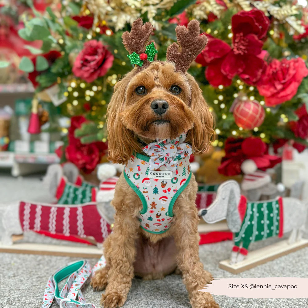 Christmas Pawty Harness