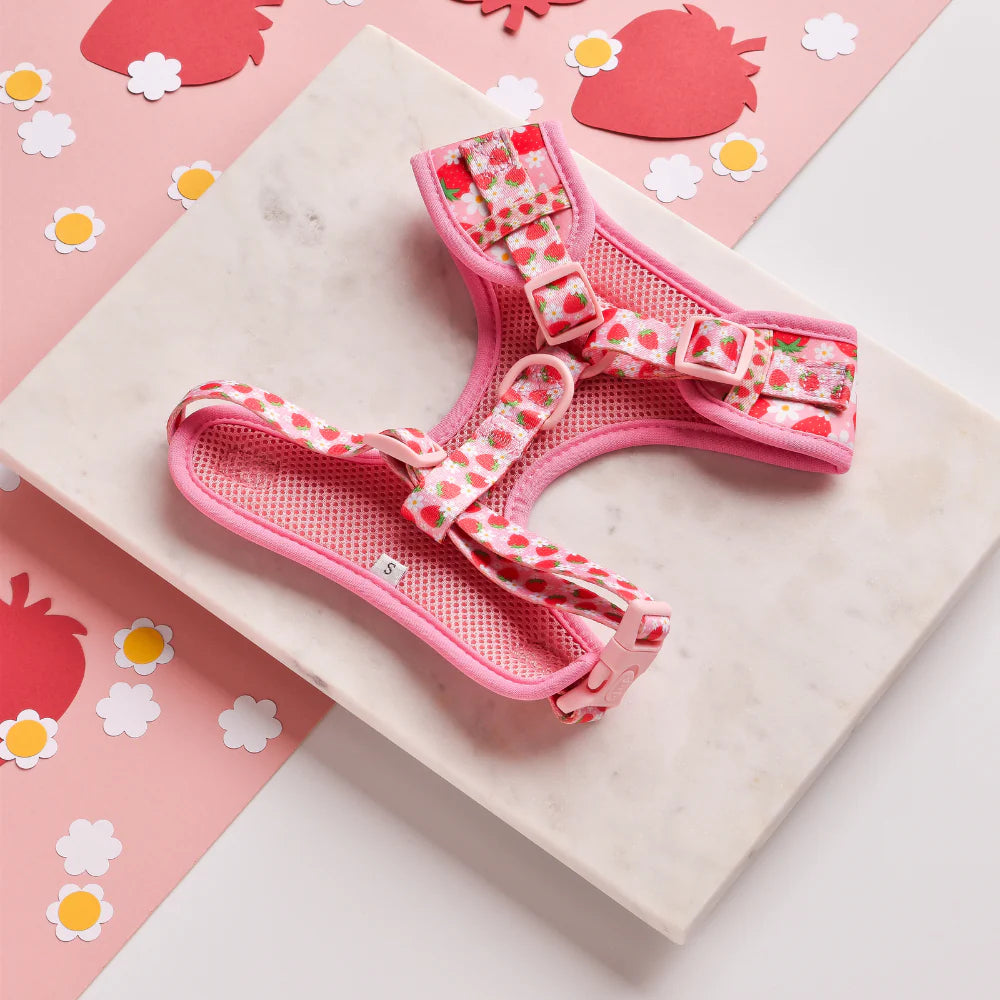 Pup Berry - Adjustable Dog Harness