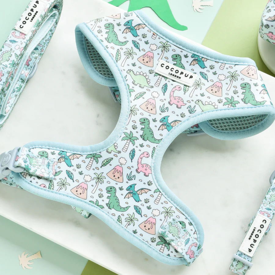 Dino-Paw Harness