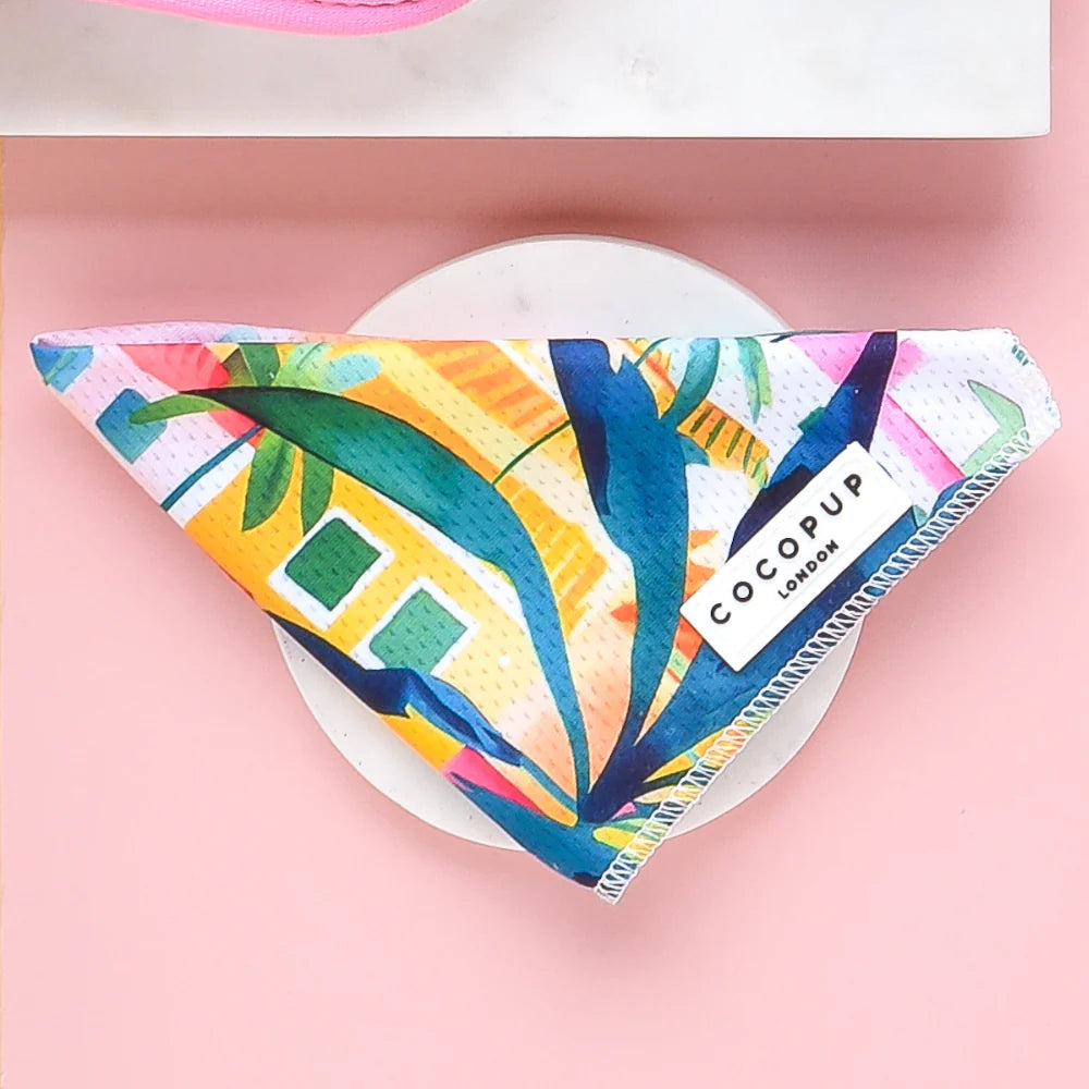 Portofino Bandana (Scarf)