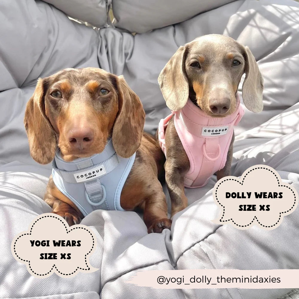 Bubblegum - Surf’s Up! 🏖️ - Adjustable Dog Harness