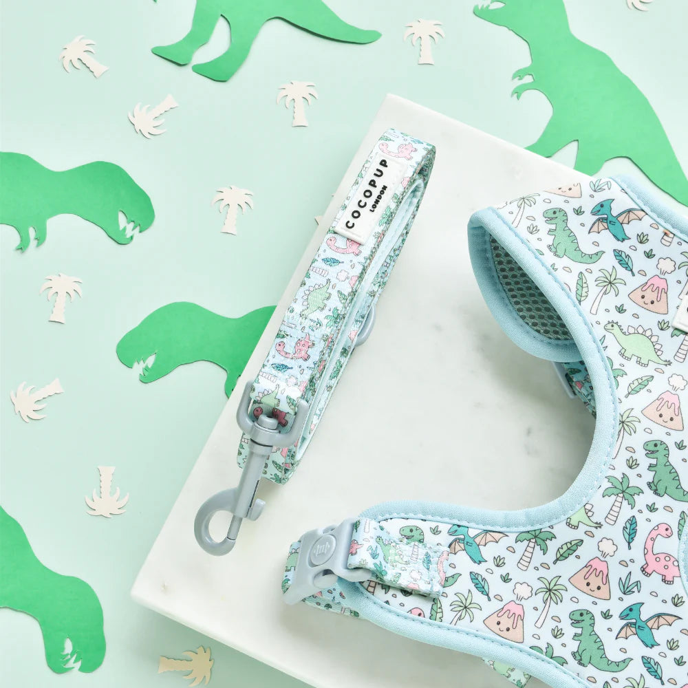 Dino-Paw Leash