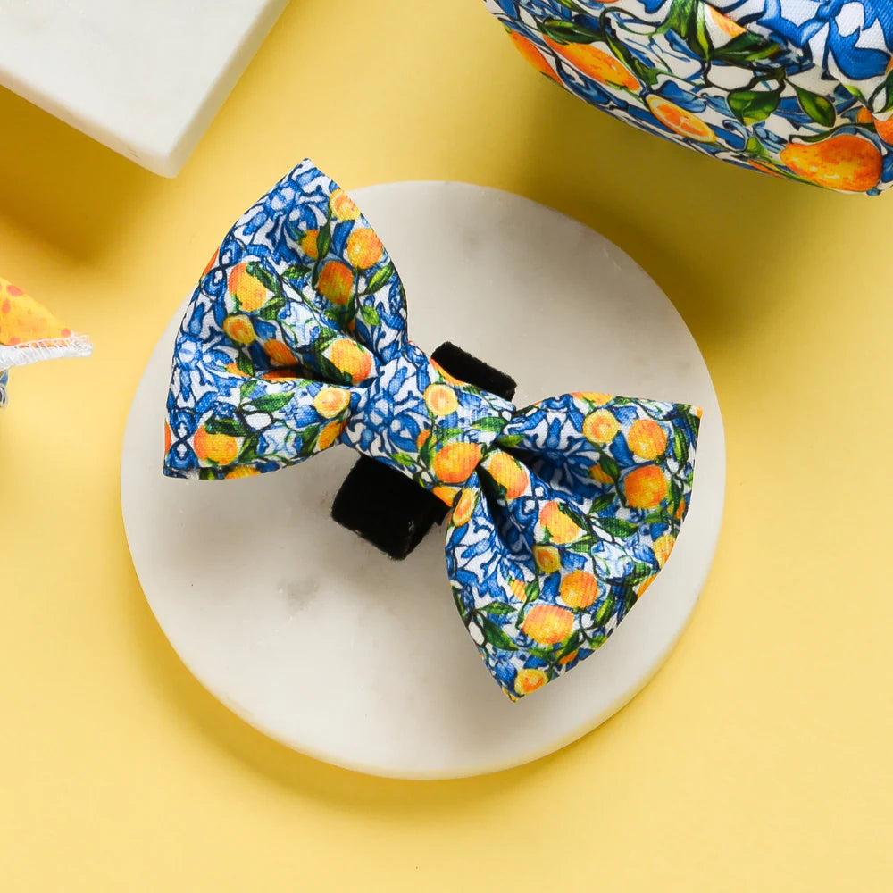 Amalfi Bow Tie