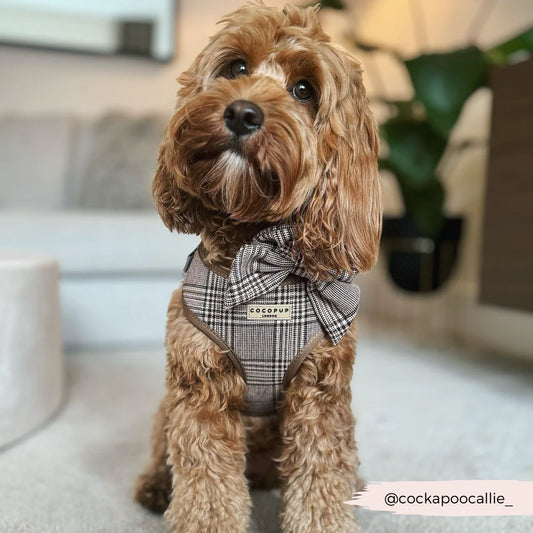 Pup Plaid Harness