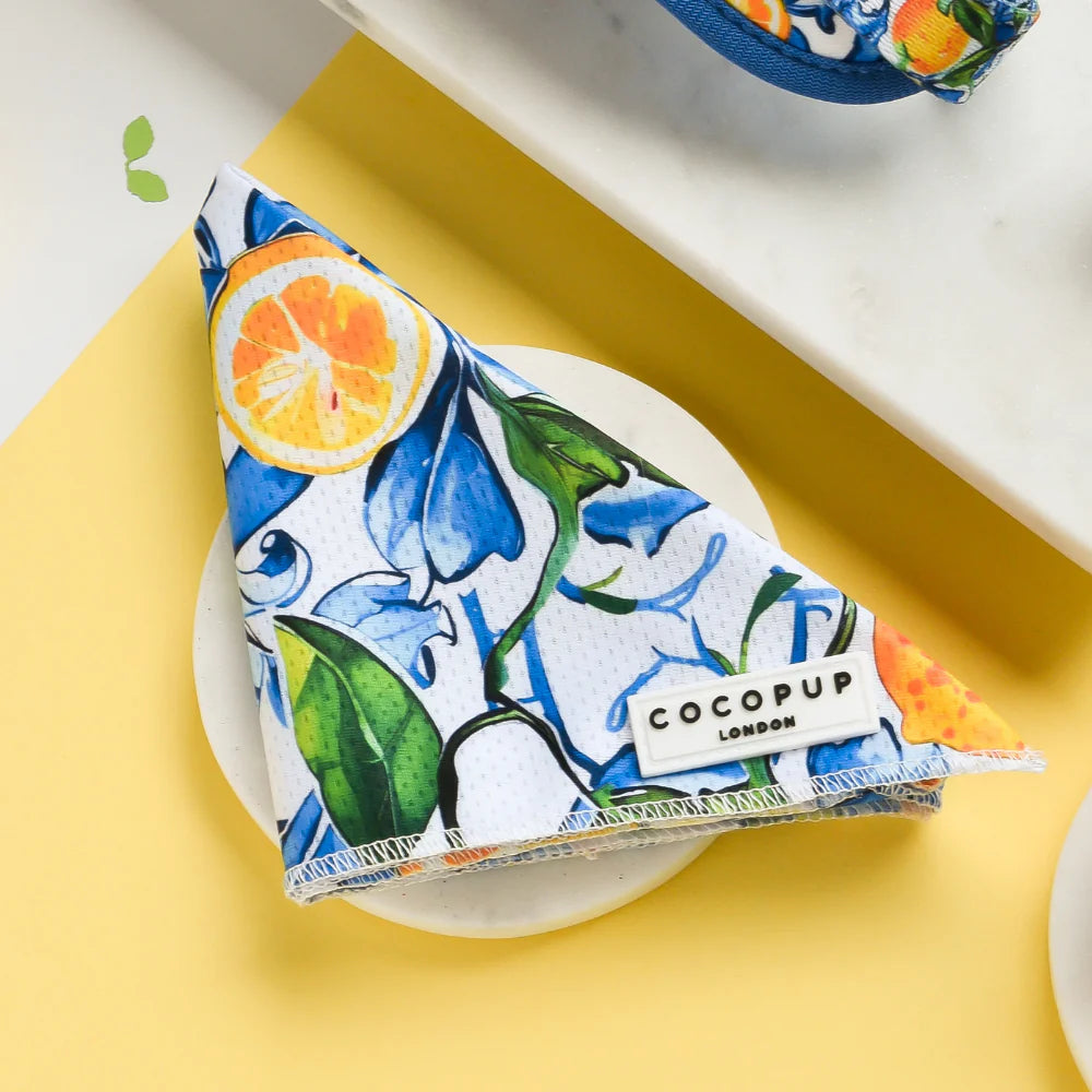 Amalfi Bandana (Scarf)