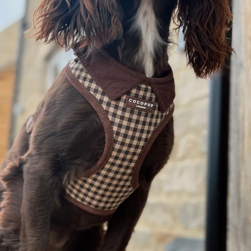 Cotswold - Adjustable Dog Harness