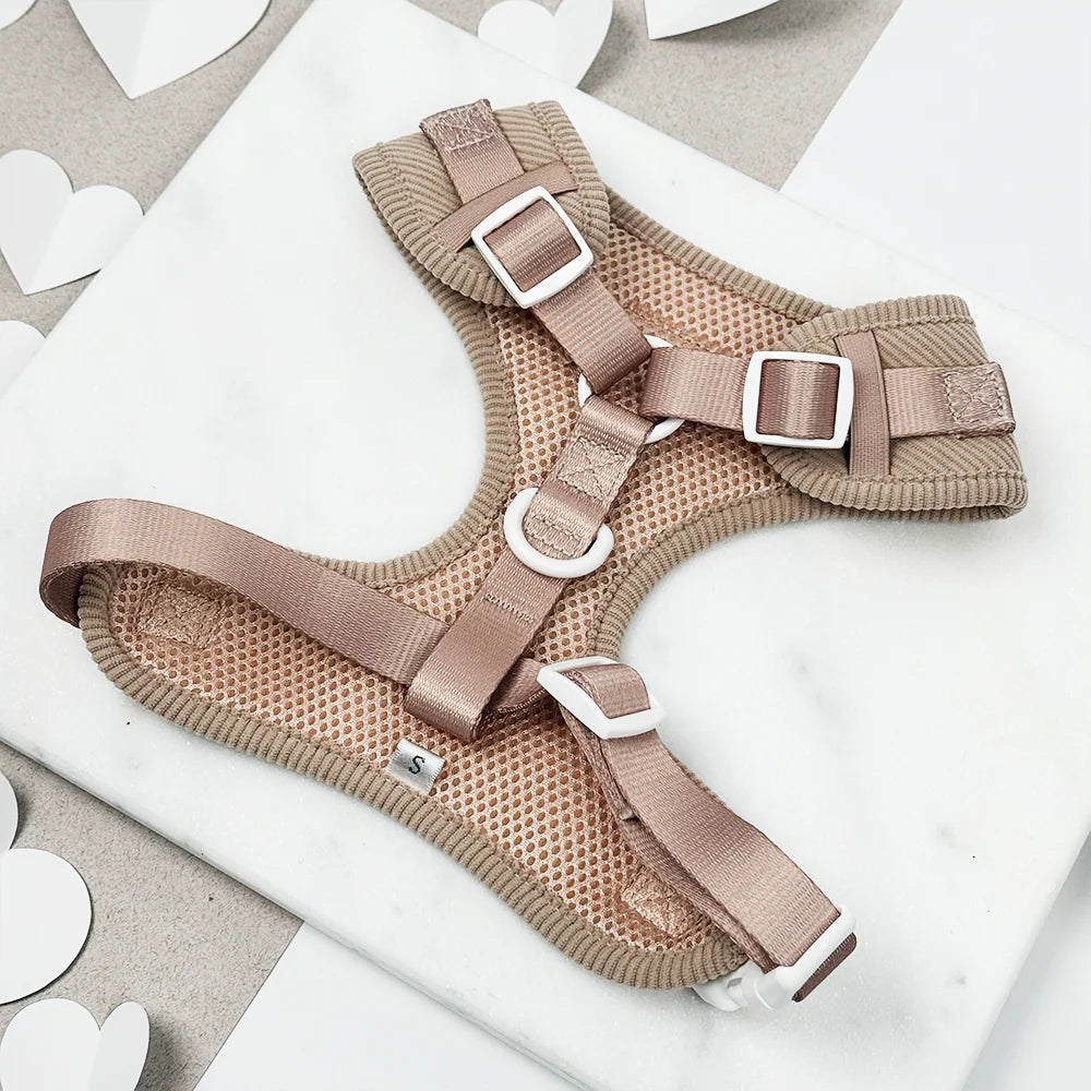 Chai Hearts Harness