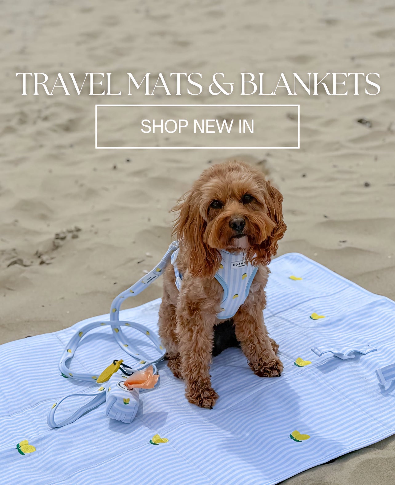 Travel Mat - La Vida