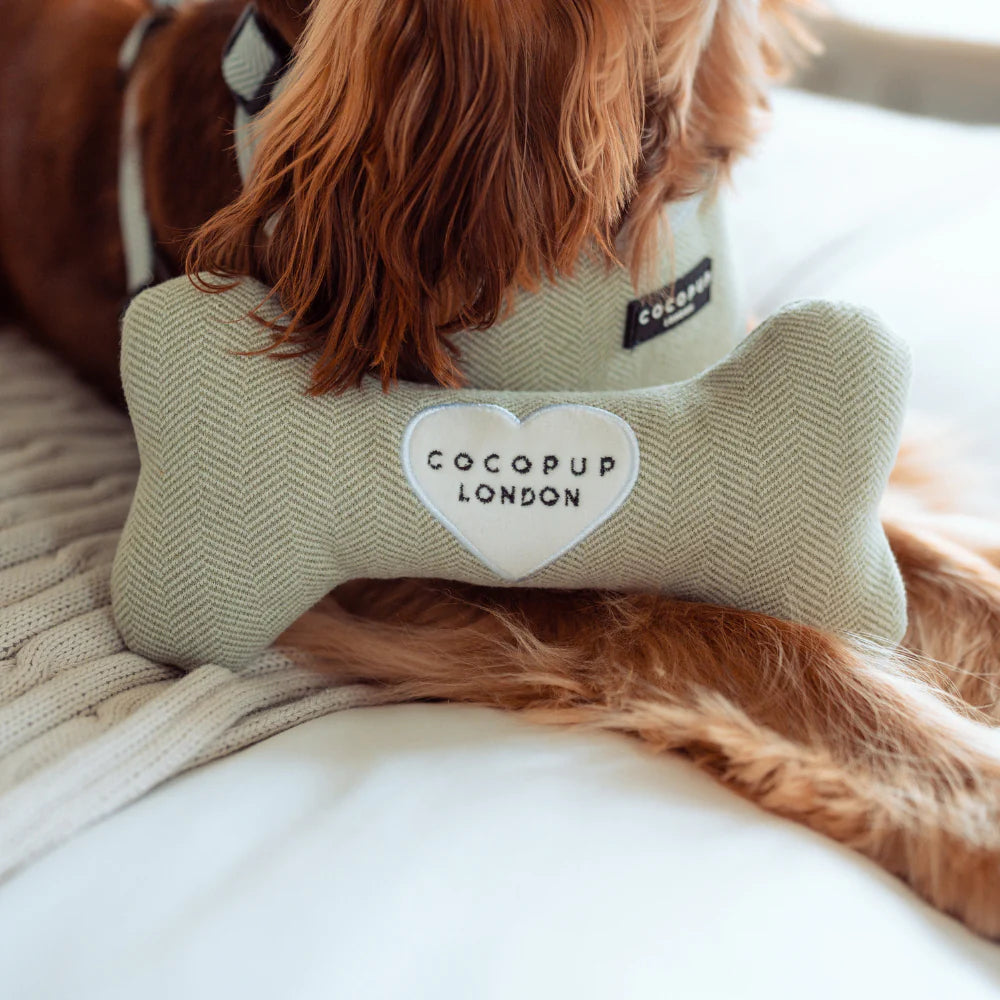 Sage Bone Toy