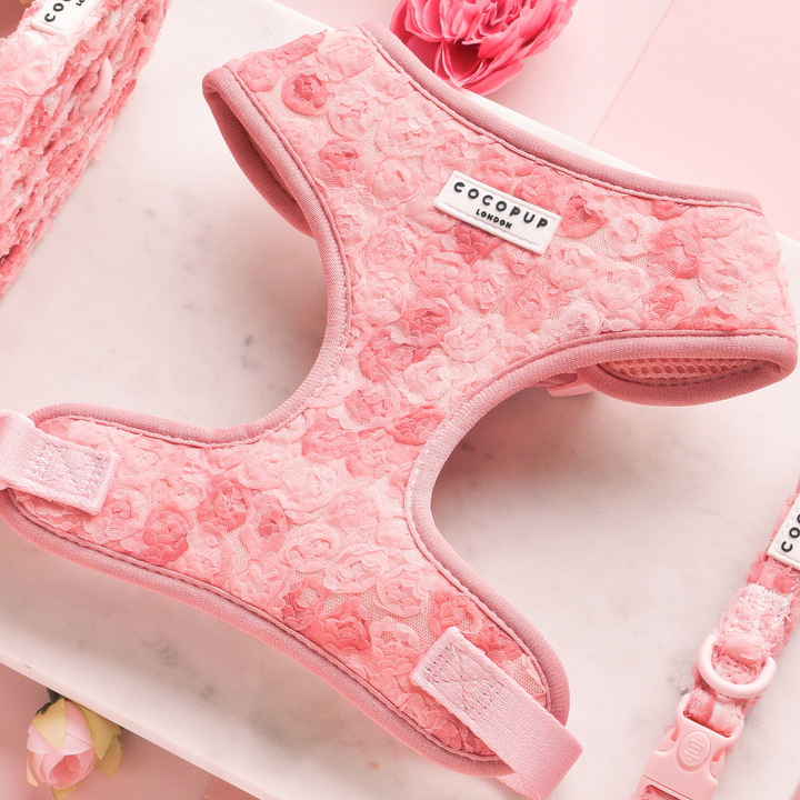 Peony - Adjustable Dog Harness