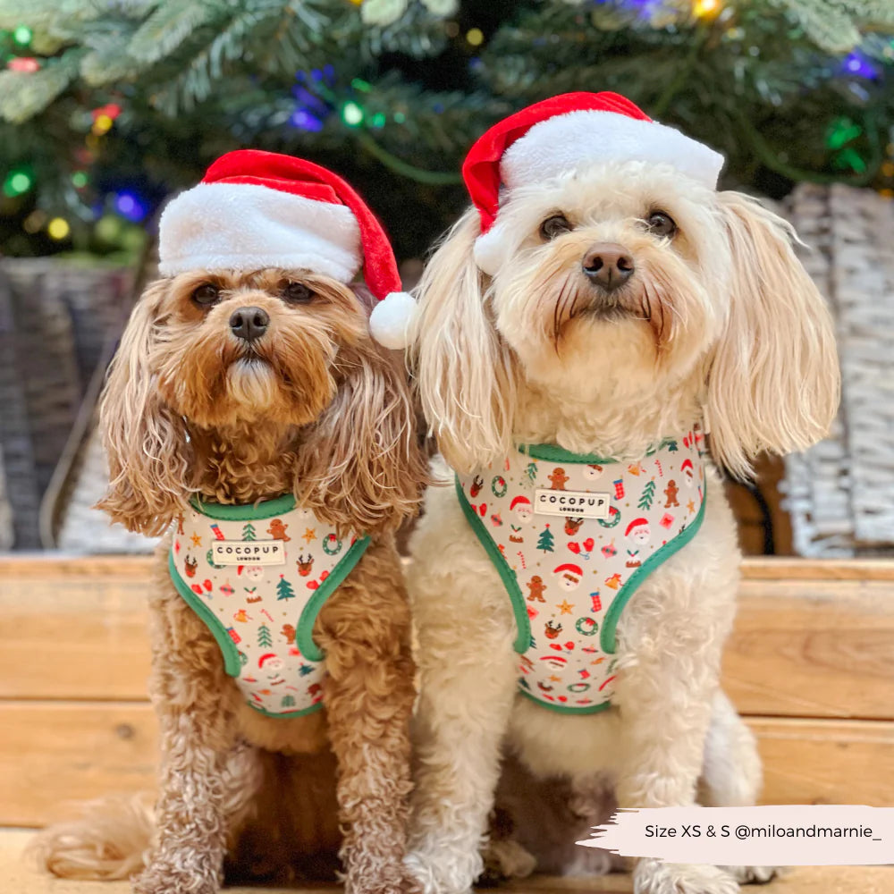 Christmas Pawty Harness