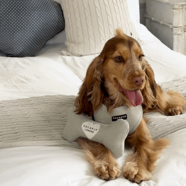 Sage Bone Toy