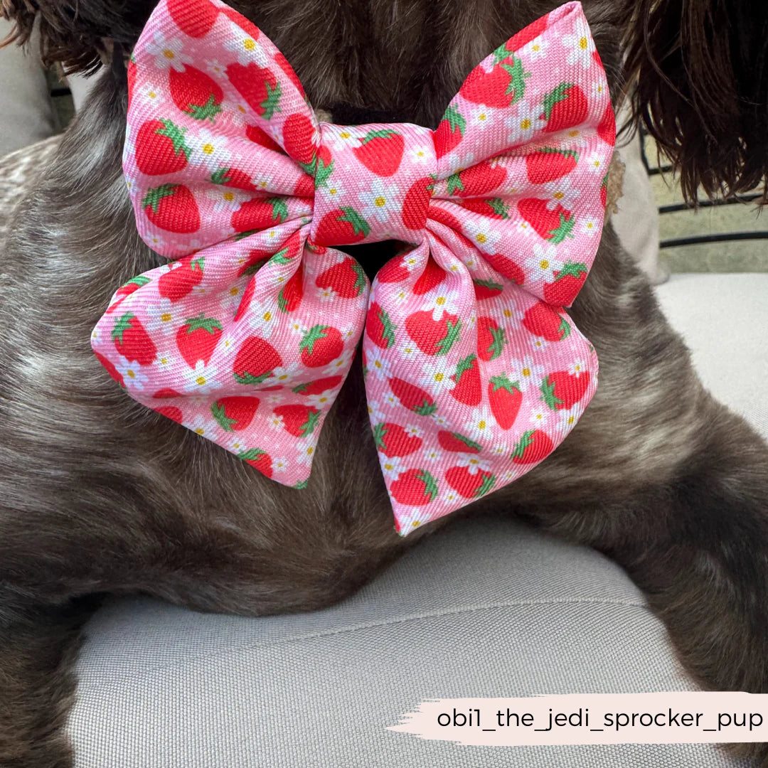 Pup Berry Sailor Bow Tie