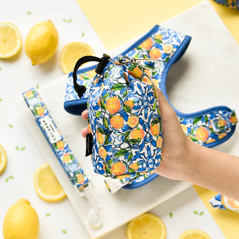 Amalfi Treat Pouch