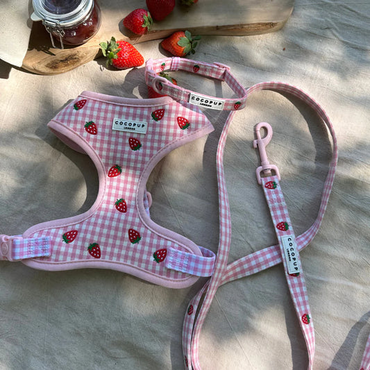 Strawberry Picnic Leash