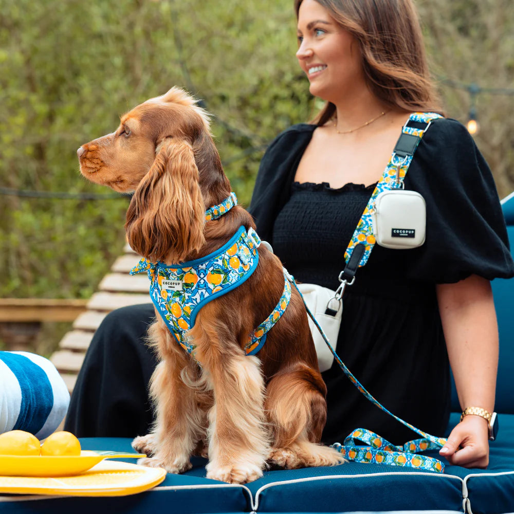 Amalfi Leash