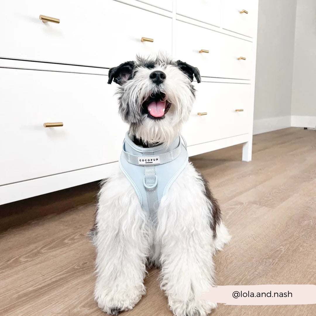 Bubblegum - Surf’s Up! 🏖️ - Adjustable Dog Harness