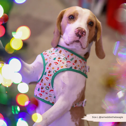 Christmas Pawty Harness