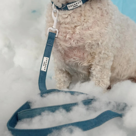 Cloud Nine Leash