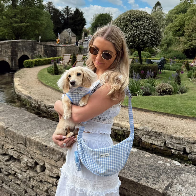 English Blue - Adjustable Dog Harness