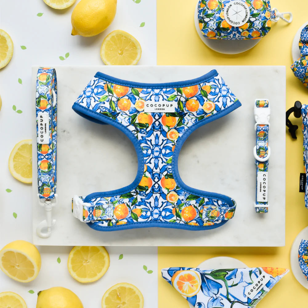 Amalfi Harness