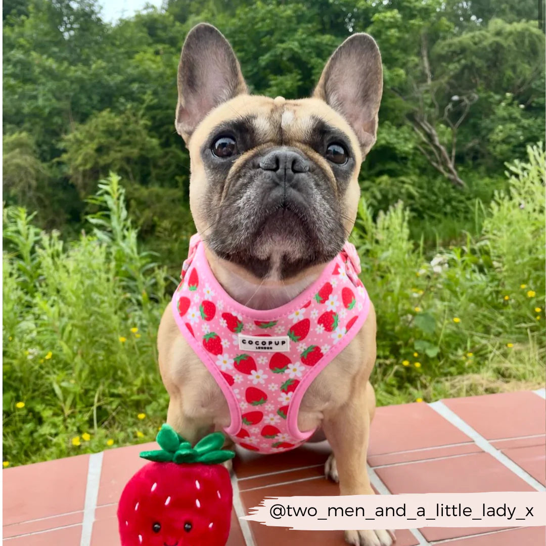 Pup Berry - Adjustable Dog Harness