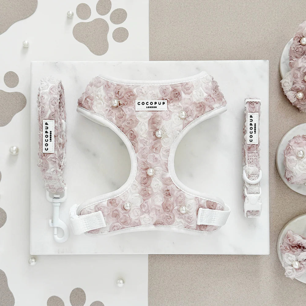 Pearly Pup Leash