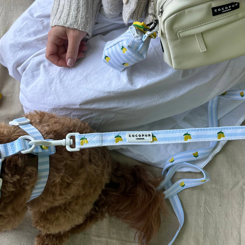 La Vida Leash