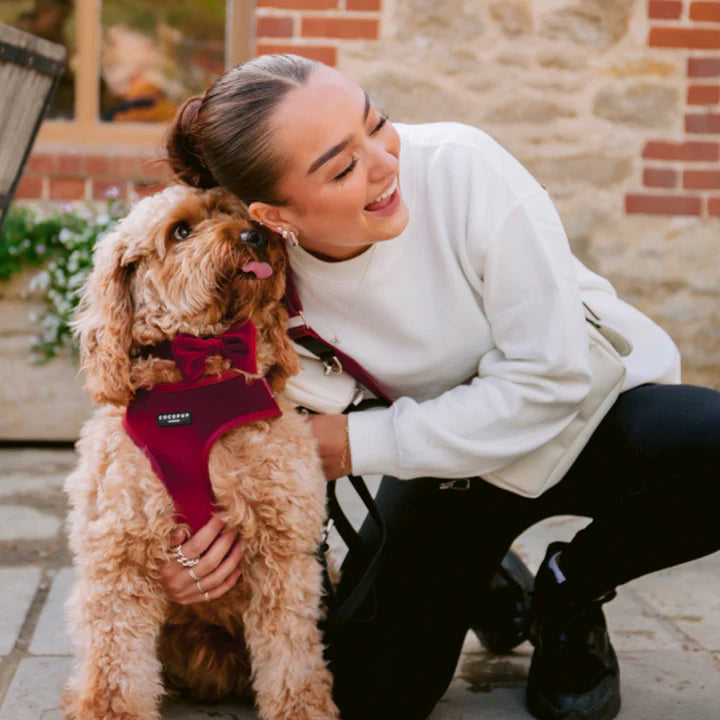 Luxe Red Velvet - Adjustable Dog Harness