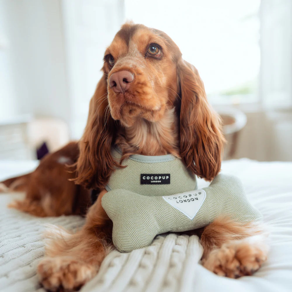 Sage Bone Toy