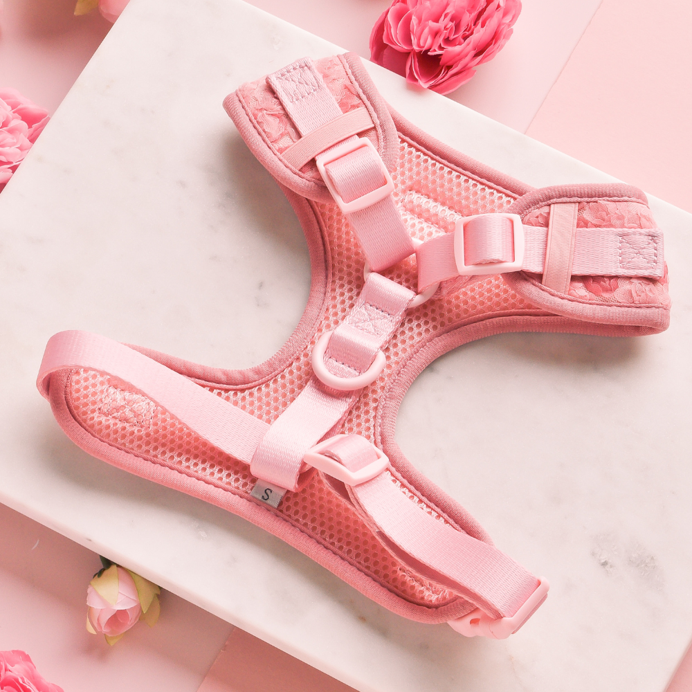 Peony - Adjustable Dog Harness