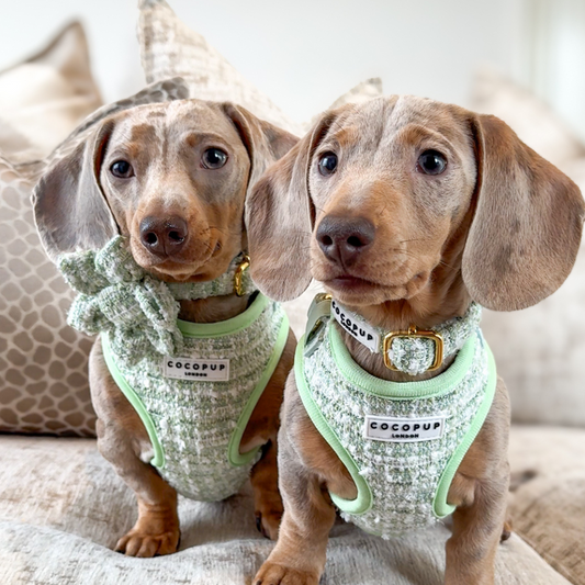 Matcha Tweed Harness - Bridgerton