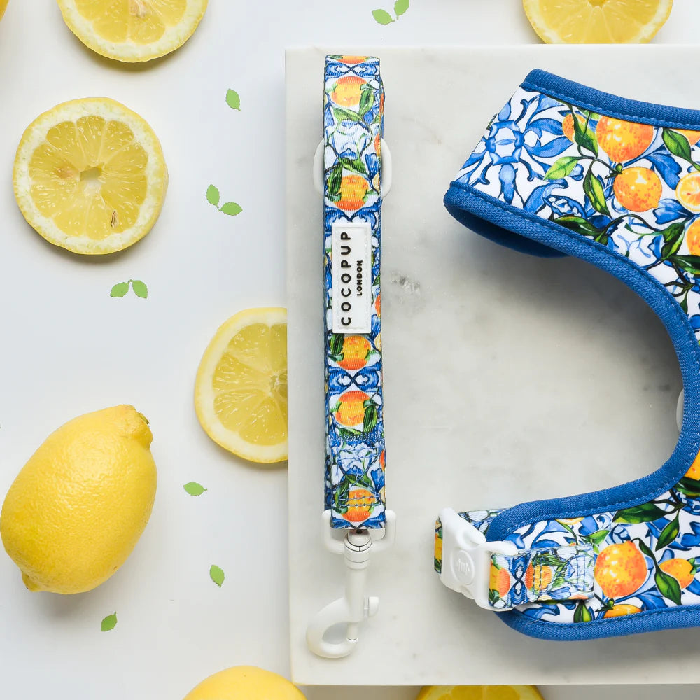 Amalfi Leash