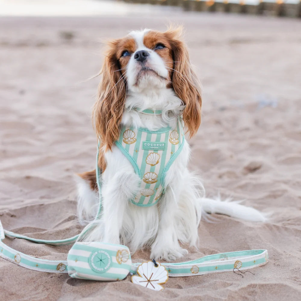 Mermaid Pearl - Adjustable Dog Harness