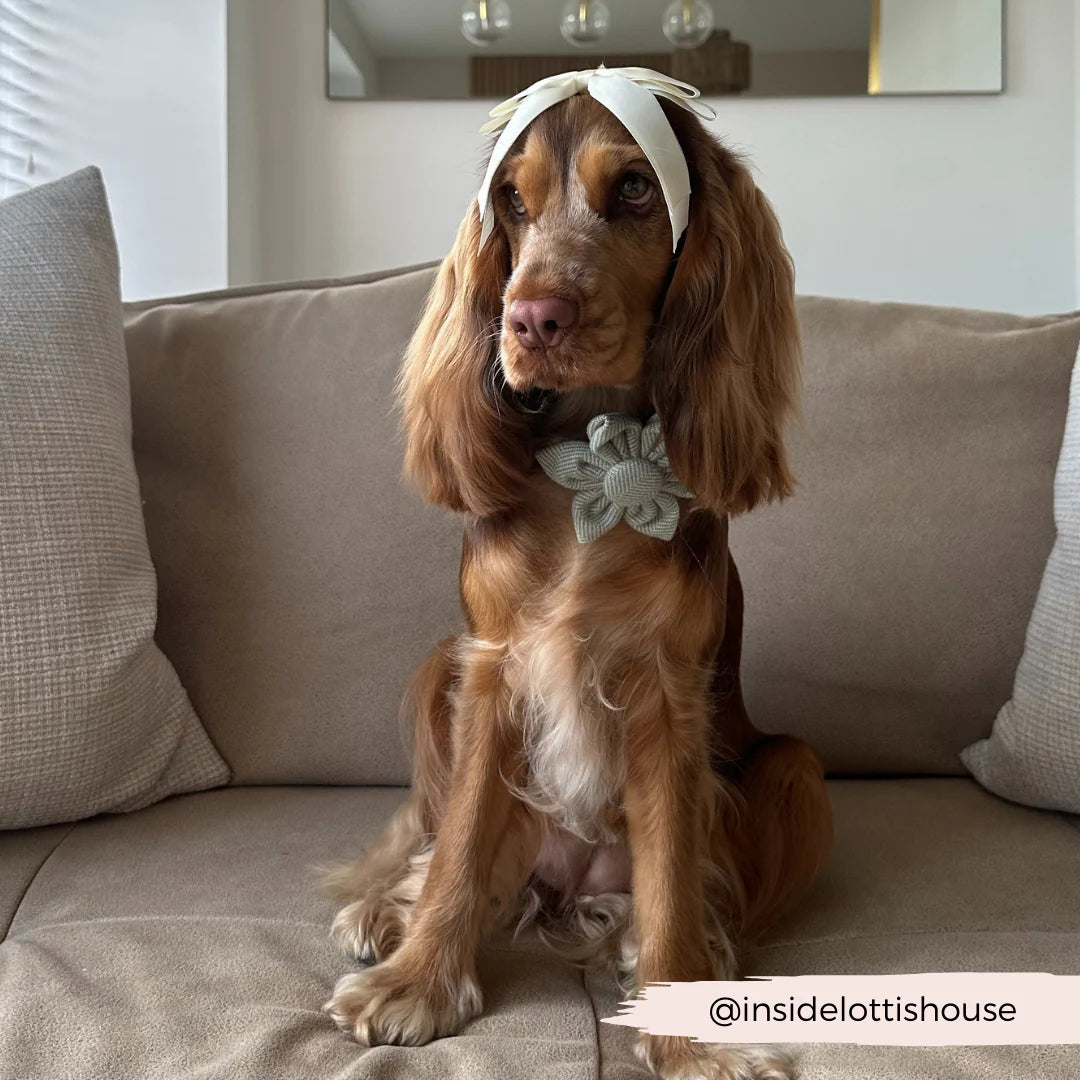 Sage Flower Bow Tie
