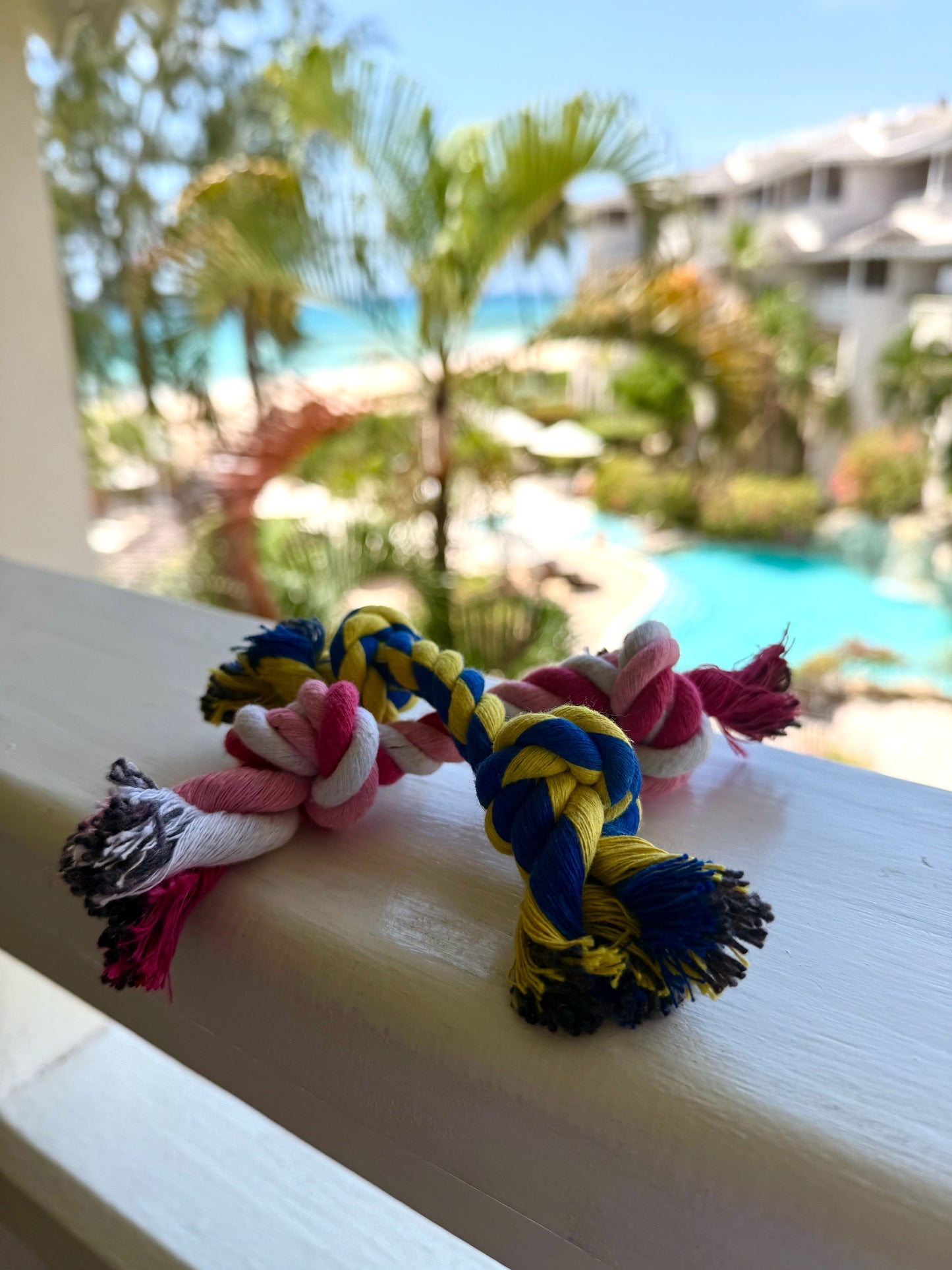 Puppy Rope Toy