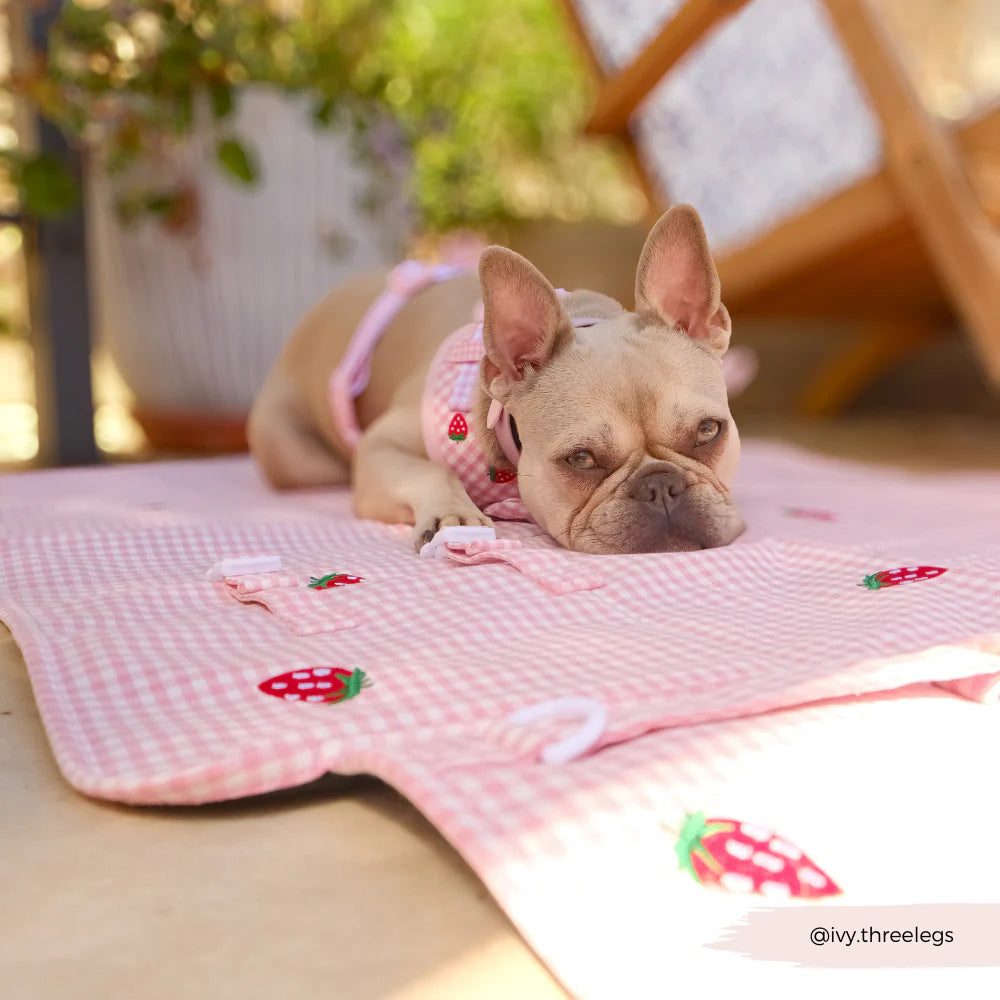 Travel Mat - Strawberry Picnic