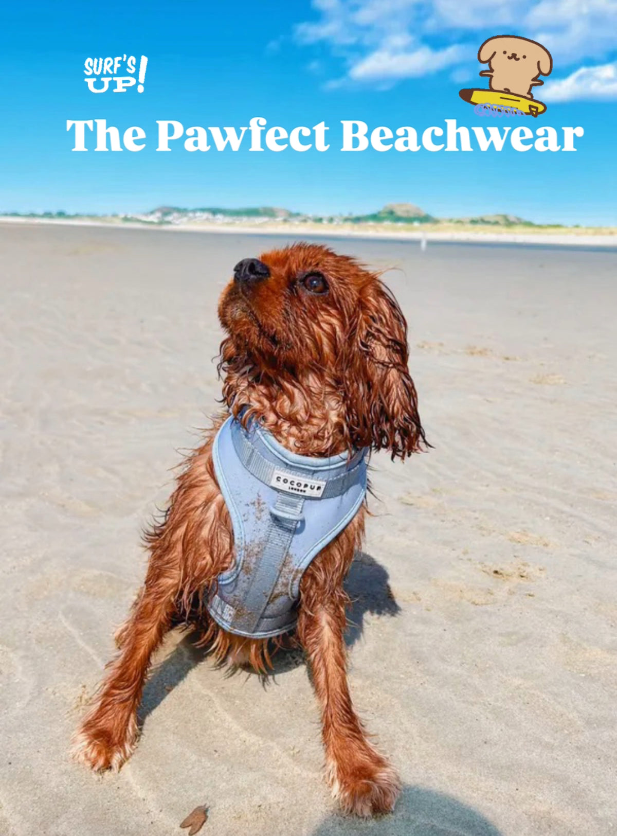 Bubblegum - Surf’s Up! 🏖️ - Adjustable Dog Harness